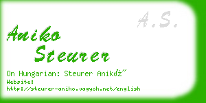 aniko steurer business card